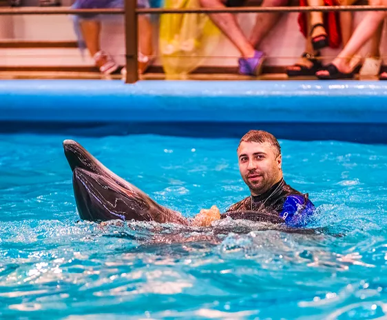 Морской артист Геленджикского дельфинария